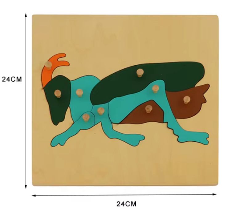 Montessori Zoology - Mantis Puzzle with Wooden Knobs