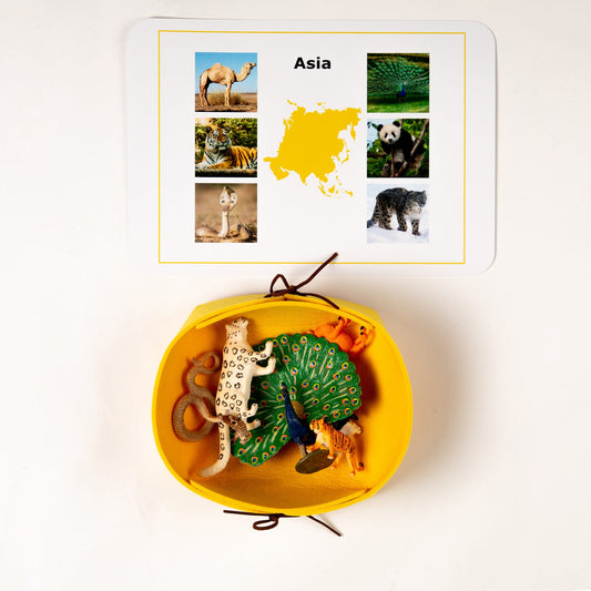 Montessori Asia continent animal classification set with control card and miniature animal figures