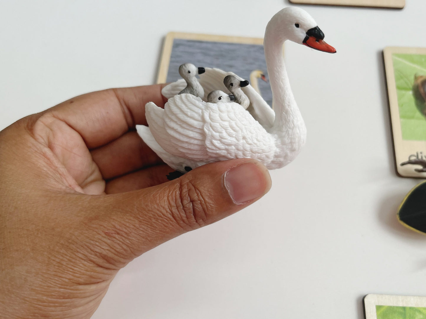 Montessori pond swan figurine with baby cygnets used for habitat classification