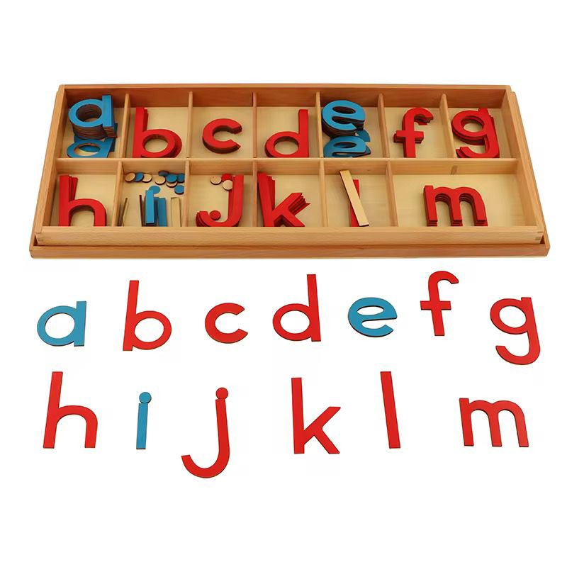 Close-up of red and blue wooden lowercase letters from the Montessori movable alphabet.