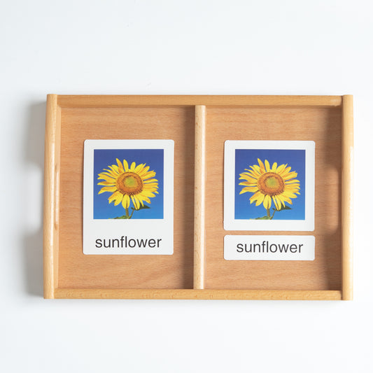 3-part flower nomenclature cards with mini objects for Montessori classified vocabulary activity