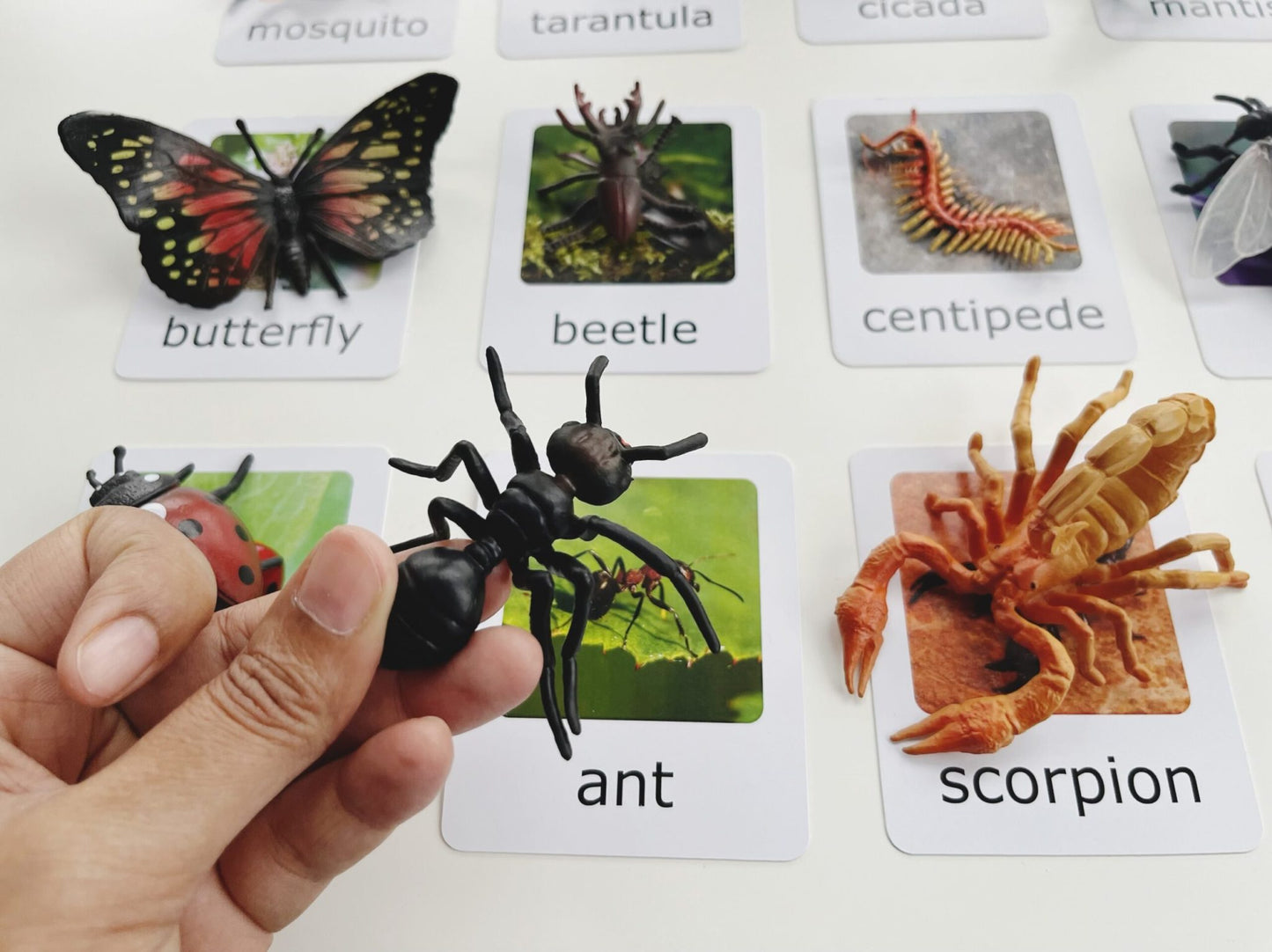 Montessori Animal Matching Set - Insects - Figurines and Cards