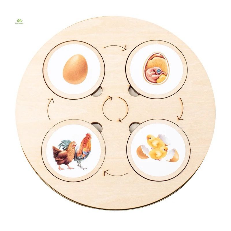 10-in-1 Wooden Life Cycle Puzzle Set – Montessori Science Activity for Kids