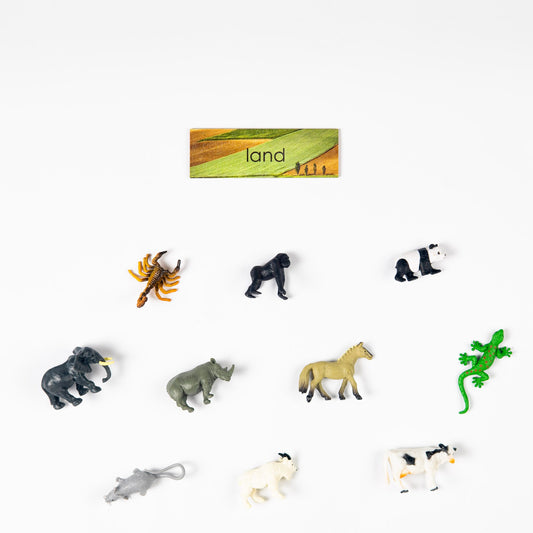 Montessori land animals classification material for zoology learning activities