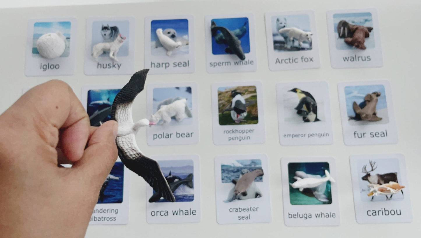 Montessori Animal Matching Set - Polar Animals (Arctic and Antarctic) - Figurines and Cards
