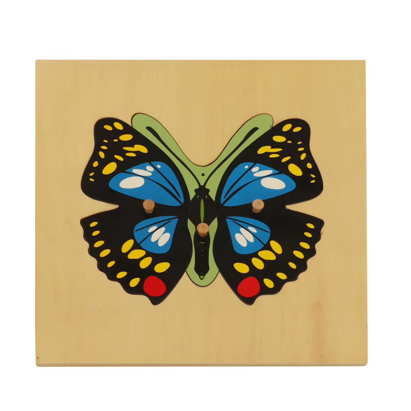 Montessori zoology butterfly puzzle with wooden knobs for insect learning and fine motor skill development