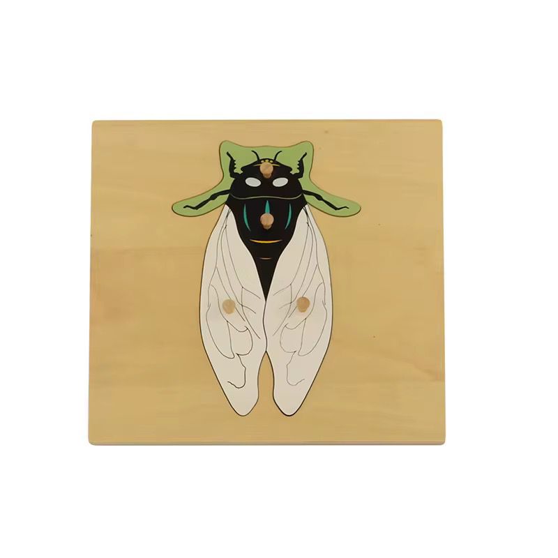 Montessori zoology cicada puzzle with wooden knobs for insect learning and fine motor development