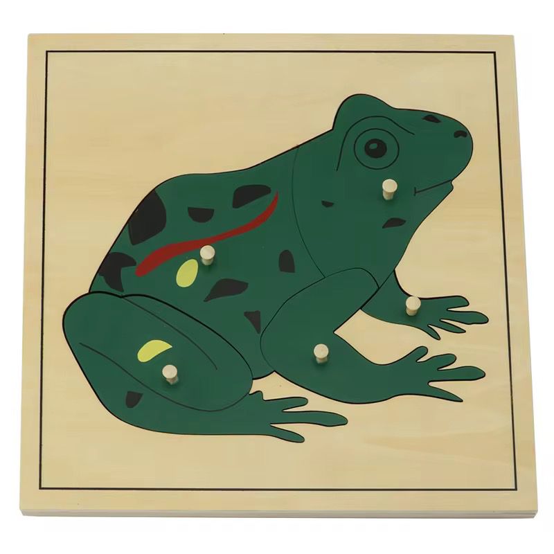 Montessori zoology frog puzzle with wooden knobs for learning parts of a frog