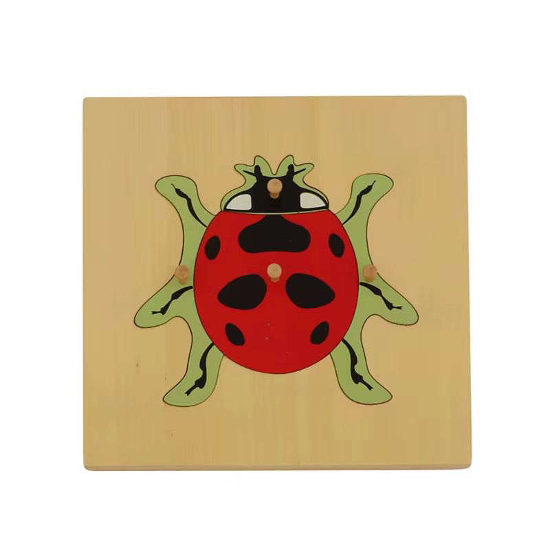 Montessori zoology ladybug puzzle with wooden knobs for insect learning and fine motor skill development