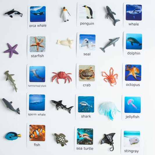 Montessori Animal Matching Set - Ocean Animals - Figurines and Cards