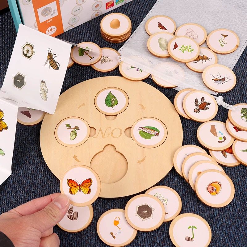 10 in 1 wooden lifecycle puzzle set for children