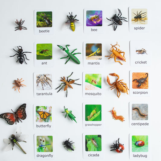 Montessori Animal Matching Set - Insects - Figurines and Cards