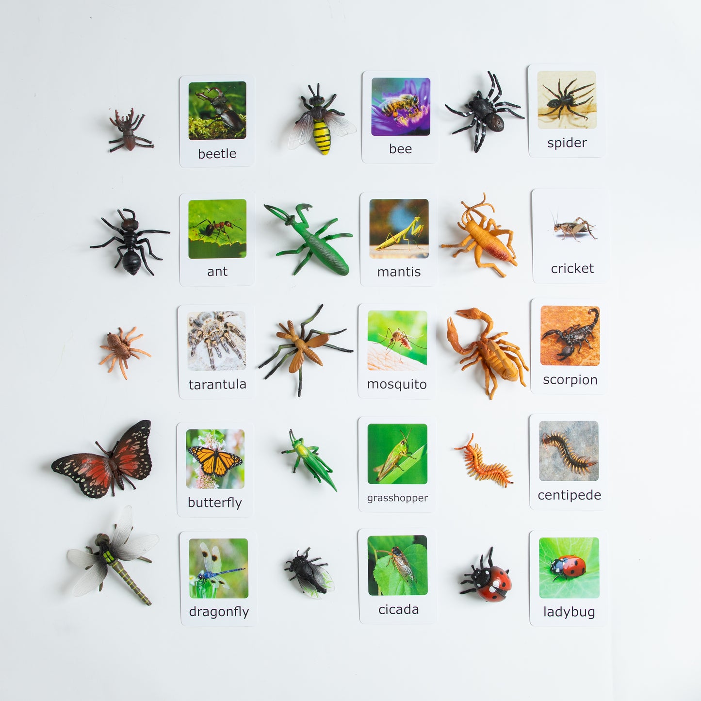 Montessori Animal Matching - Bundle - Figurines and Cards