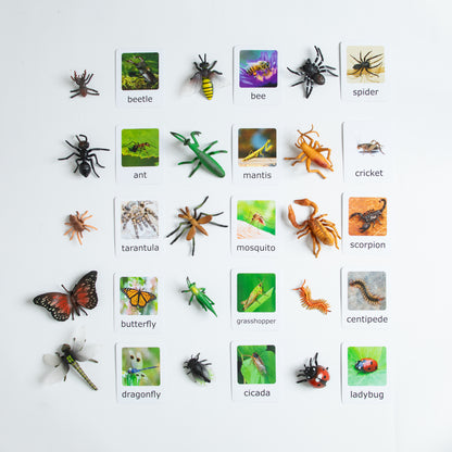 Montessori Animal Matching - Bundle - Figurines and Cards