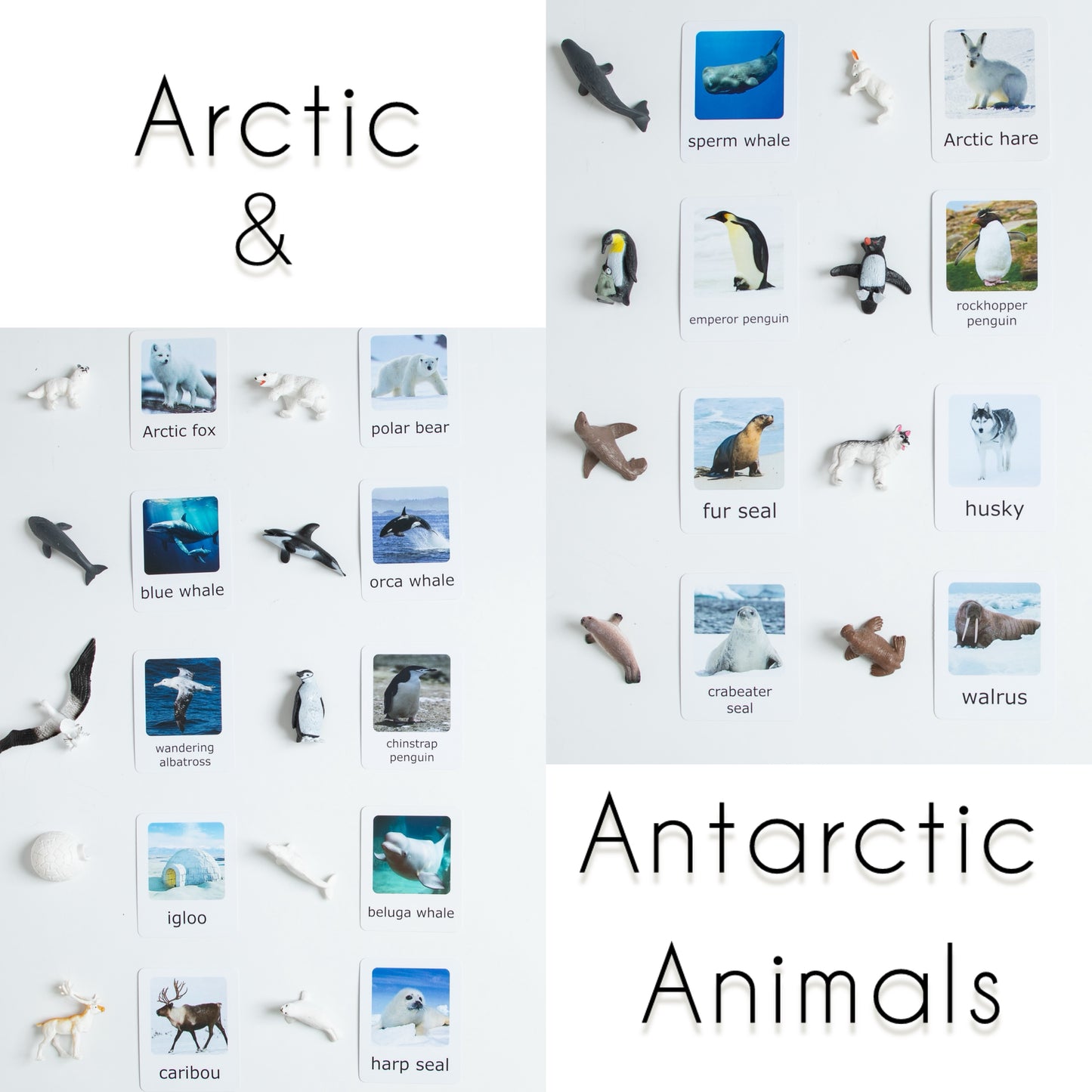 Montessori Animal Matching - Bundle - Figurines and Cards