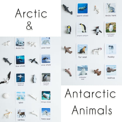 Montessori Animal Matching - Bundle - Figurines and Cards