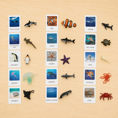 Montessori Animal Matching Set - Ocean Animals - Figurines with Cards