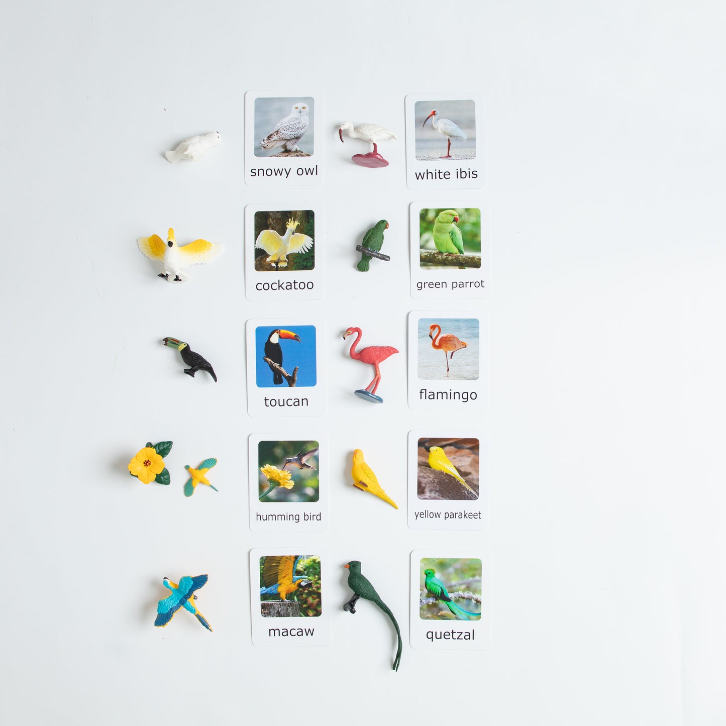 Montessori Animal Matching - Bundle - Figurines and Cards