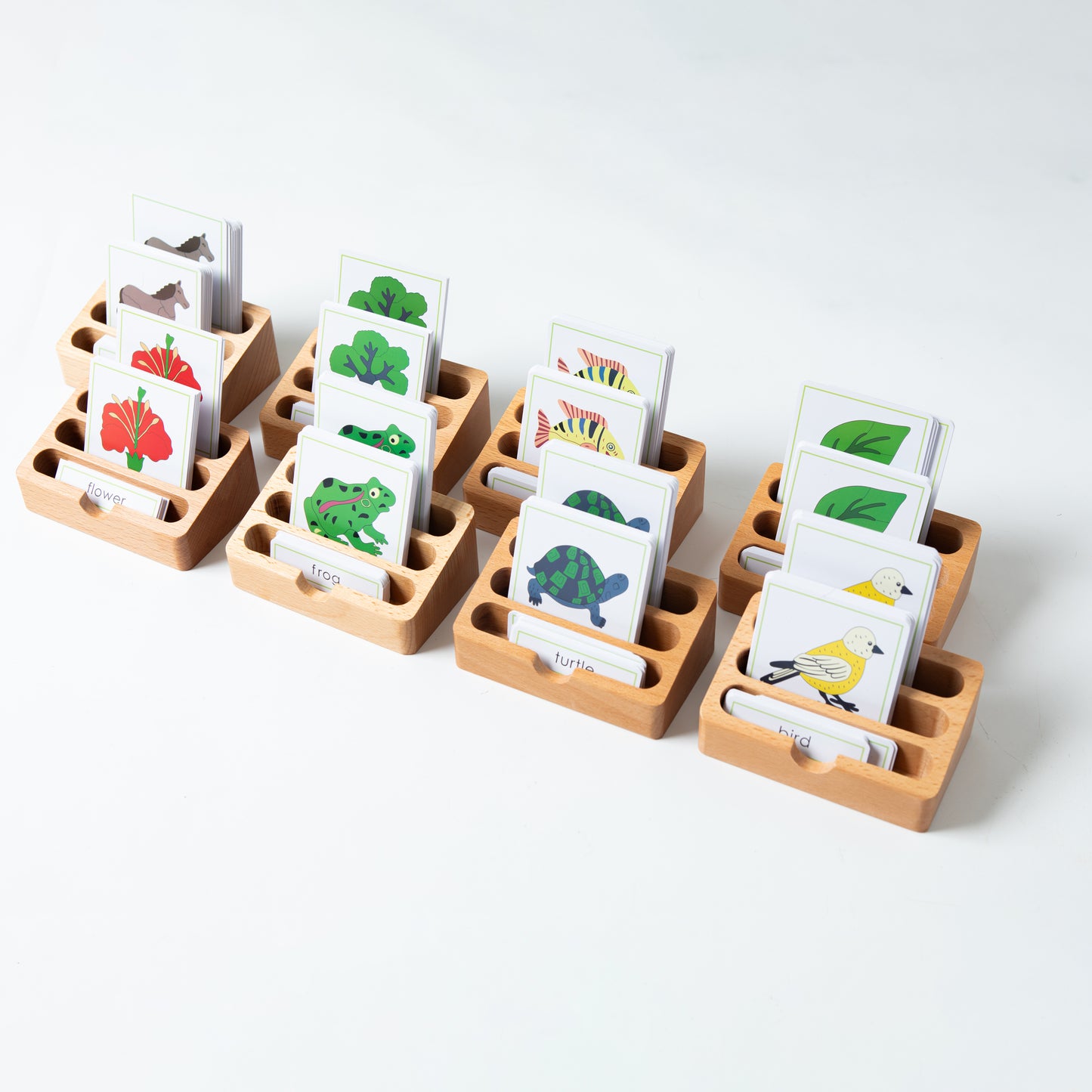 Montessori Botany Zoology Cards | 3-Part Nomenclature Set