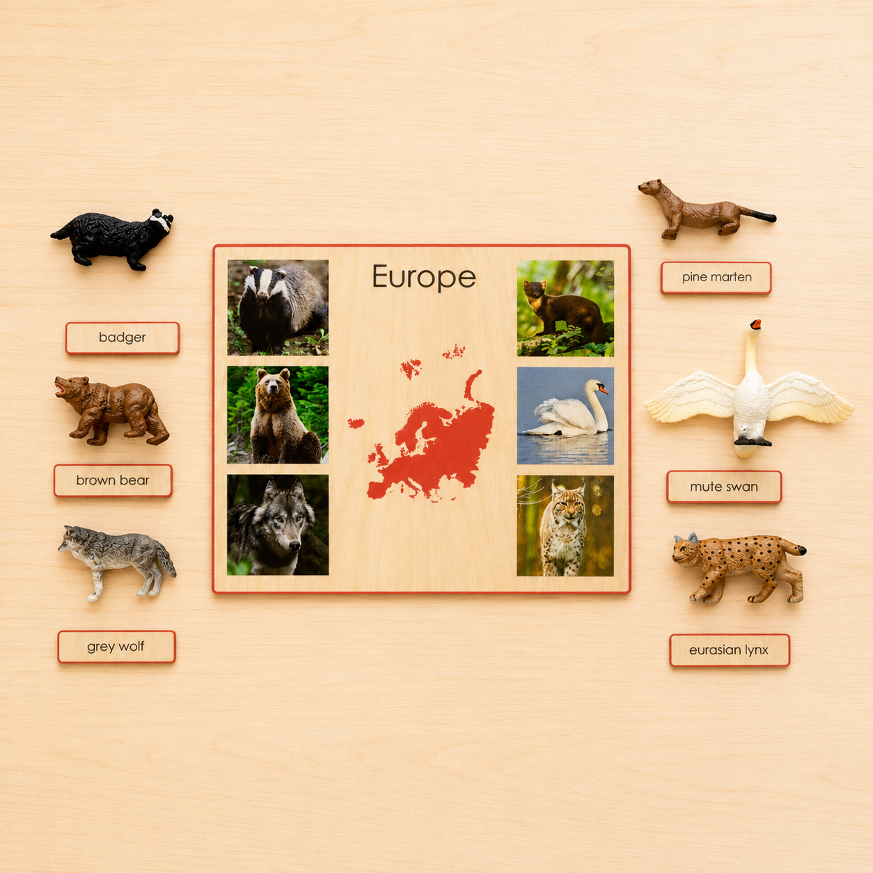 Montessori Animals of the Seven Continents - Bundle - Culture and Geography Classification