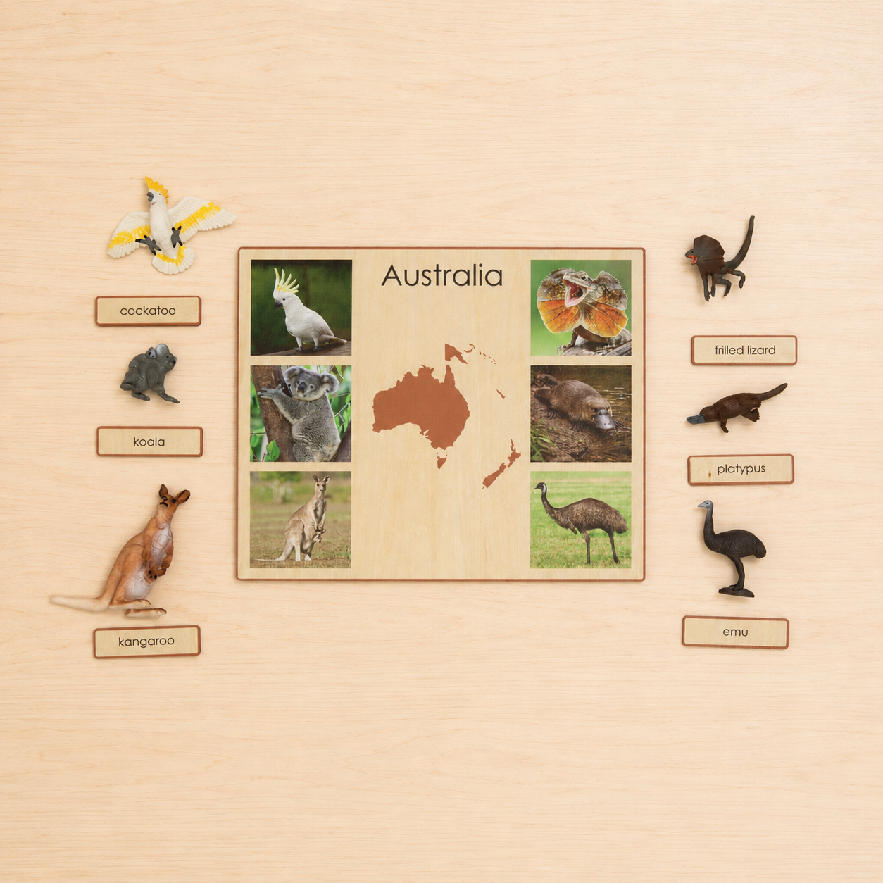 Montessori Animals of the Seven Continents - Bundle - Culture and Geography Classification