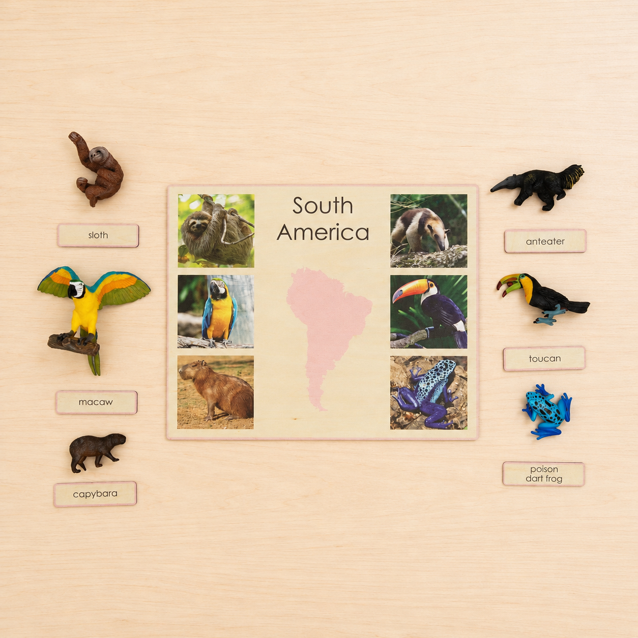 Montessori Animals of the Seven Continents - Bundle - Culture and Geography Classification