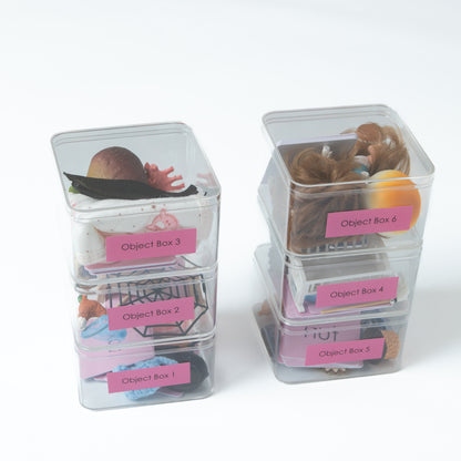 Montessori Pink Series Classroom-ready Set | Montessori Language Material for Classroom