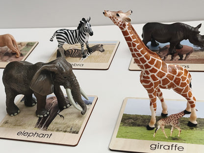 Toddler African animals 3D object to picture matching showing elephant and giraffe aligned with control cards
