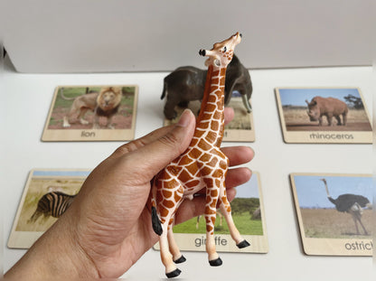Child-size African giraffe animal figurine shown in hand for scale during Montessori object to picture matching