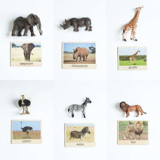 Toddler African animals object to picture matching layout with elephant, rhinoceros, giraffe, zebra, lion and ostrich cards