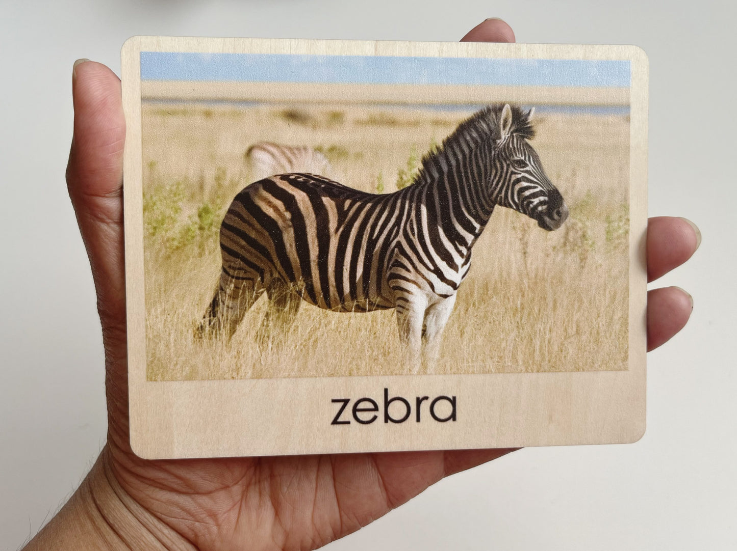 Montessori African animals zebra picture card used for toddler object to picture matching activity