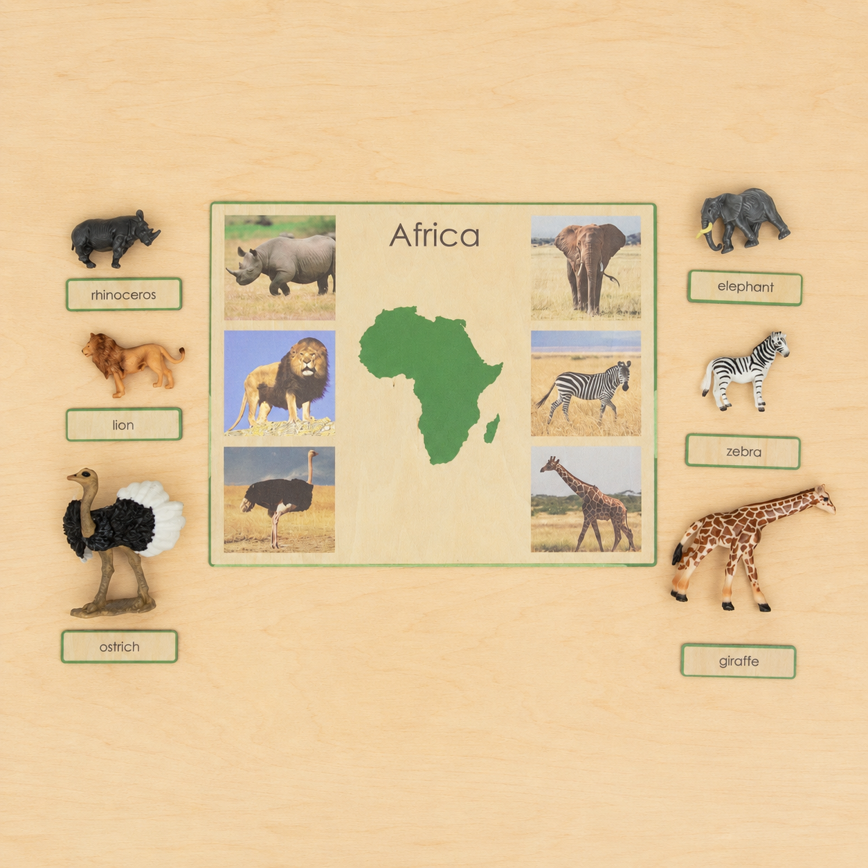 Montessori Animals of the Seven Continents - Bundle - Culture and Geography Classification