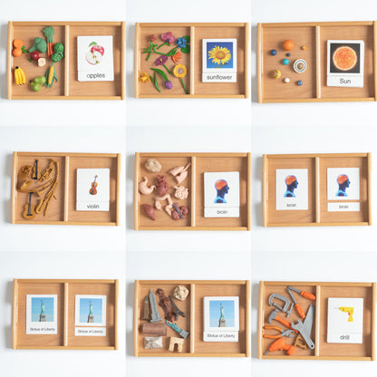 Montessori Classification Set - Bundle - 3-Part Nomenclature Cards (Classified Cards) with Mini Objects