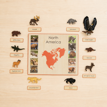 Montessori Animals of the Seven Continents - Bundle - Culture and Geography Classification