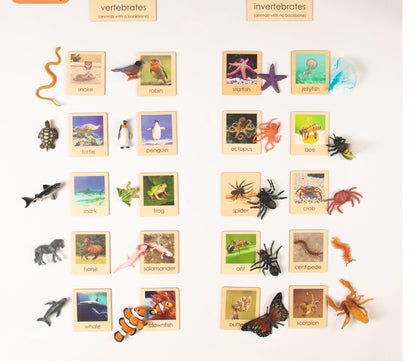 Montessori Botany and Zoology Classification Bundle - Ready-to-Use Sorting Sets for Classrooms and Homeschooling