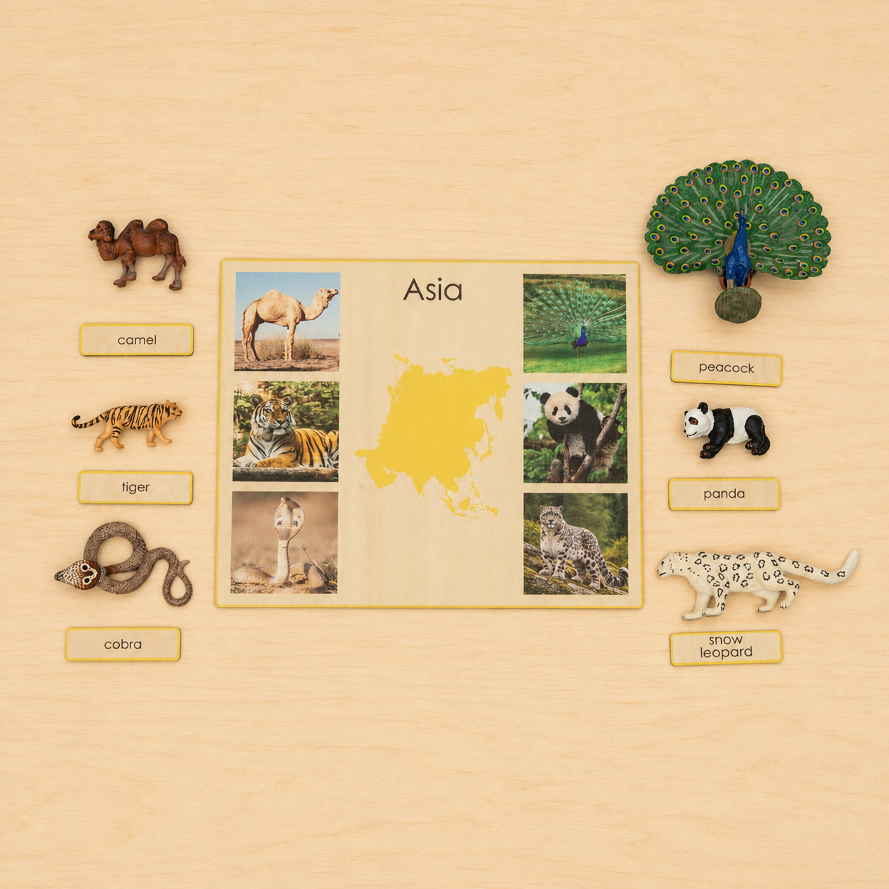 Montessori Animals of the Seven Continents - Bundle - Culture and Geography Classification