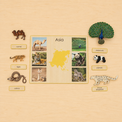 Montessori Animals of the Seven Continents - Bundle - Culture and Geography Classification