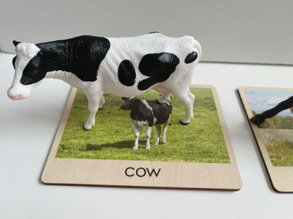 Cow figurine placed on photographic control card for Montessori toddler farm animals matching work