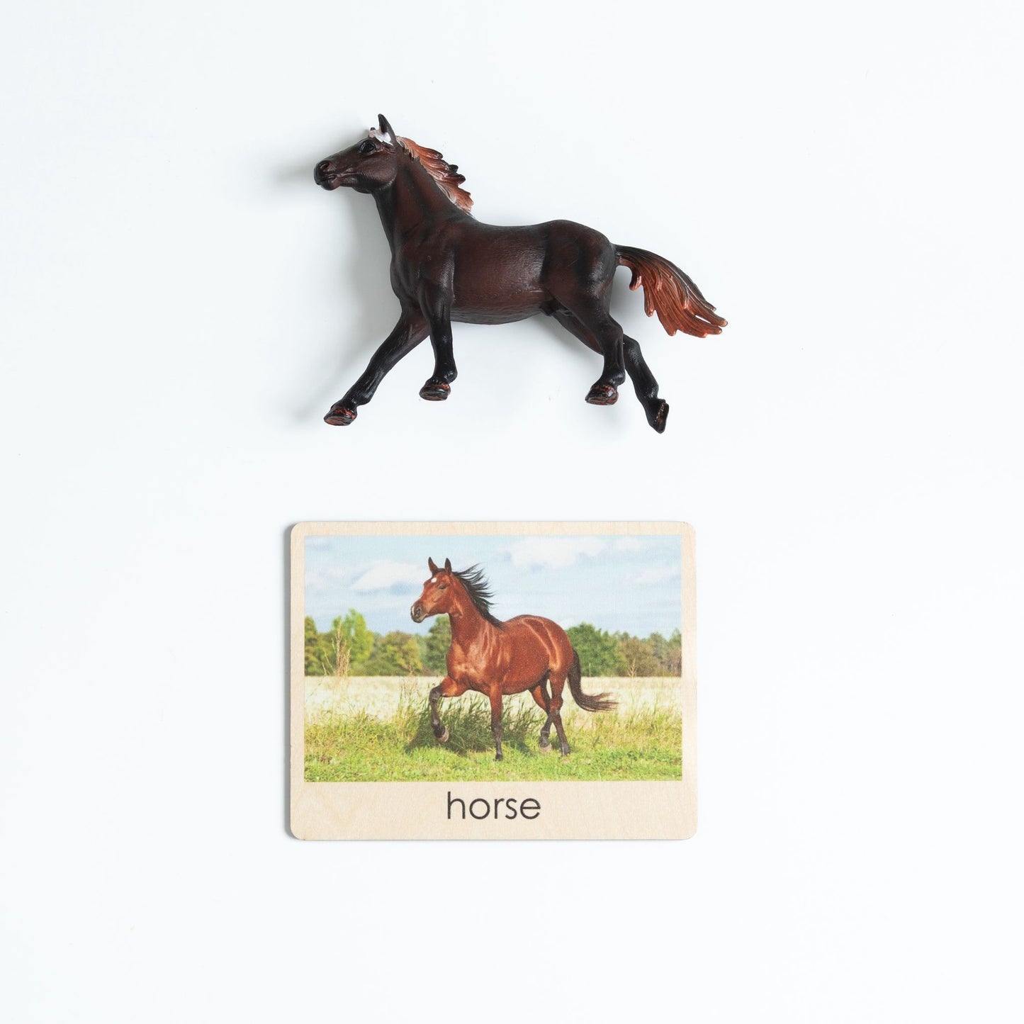 Horse figurine matched to photographic control card in Montessori farm animals object to picture matching activity