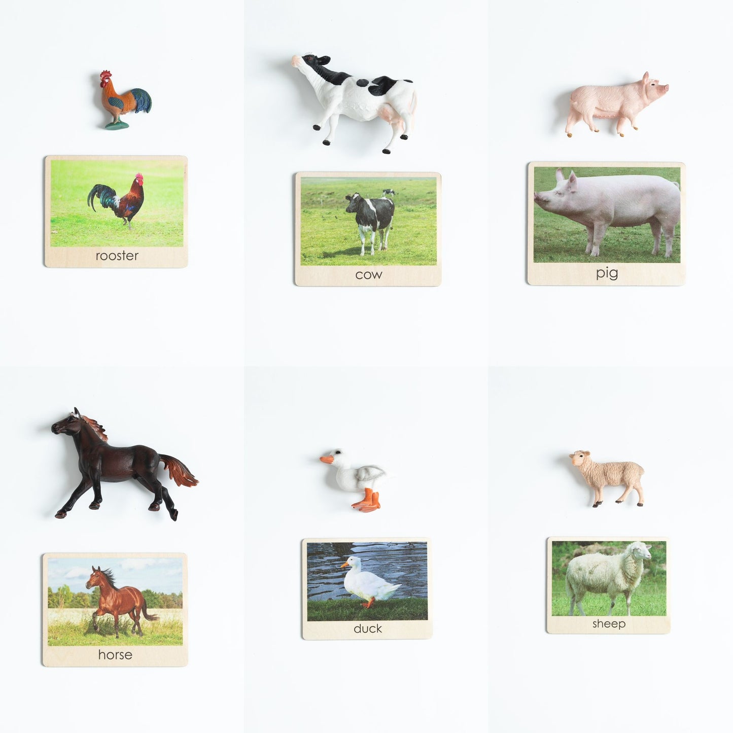 Toddler farm animals object to picture matching layout with cow, horse, pig, sheep, duck and rooster cards