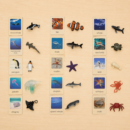 Montessori Animal Matching Set - Ocean Animals - Figurines with Cards