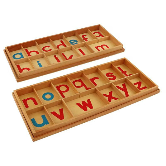 Montessori Large Movable Alphabet in wooden sorting box with red and blue lowercase letters.