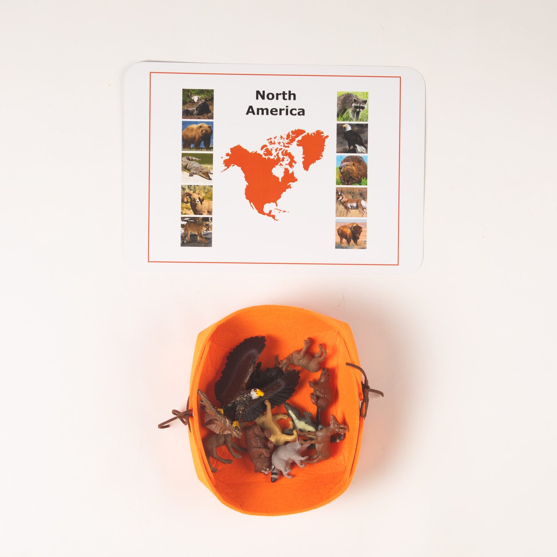 Montessori Africa animals nomenclature activity with labeled animal figures for continent study
