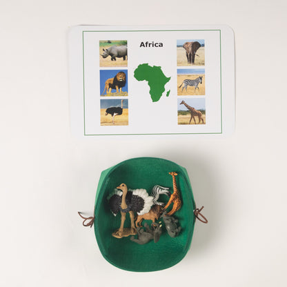 Montessori Asia animals nomenclature activity showing labeled animal figures used for geography learning