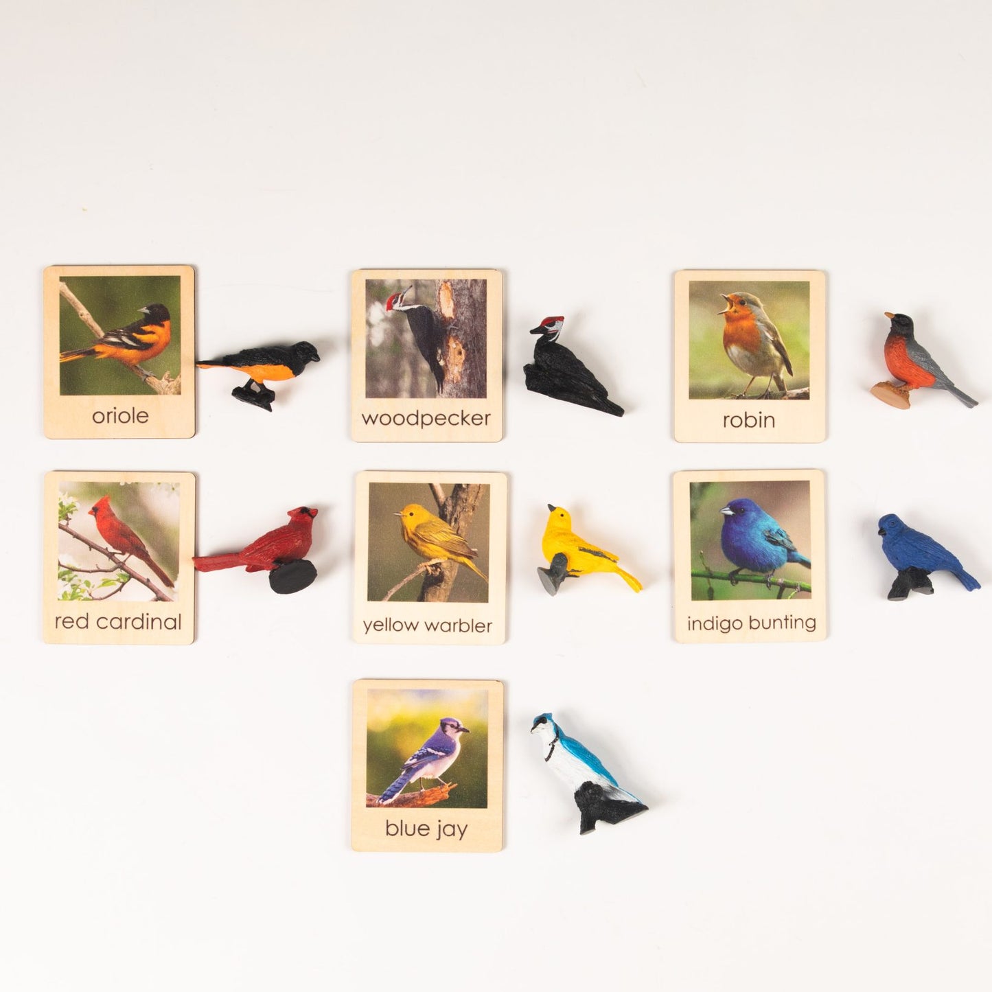 Montessori backyard birds animal matching set with wooden picture cards and bird figurines