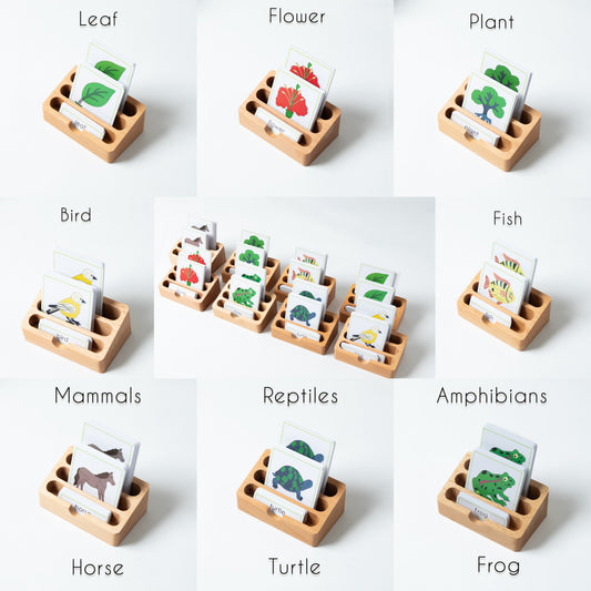 Montessori botany and zoology 3-part nomenclature cards showing plant and animal categories with wooden trays