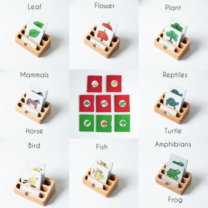 Montessori botany and zoology 3-part cards showing categories such as leaf, flower, mammals, reptiles, birds, fish, and amphibians