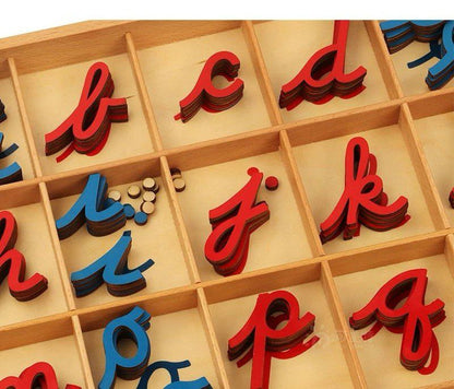 Close-up view of Montessori cursive movable alphabet letters showing red consonants and blue vowels stacked inside compartments.