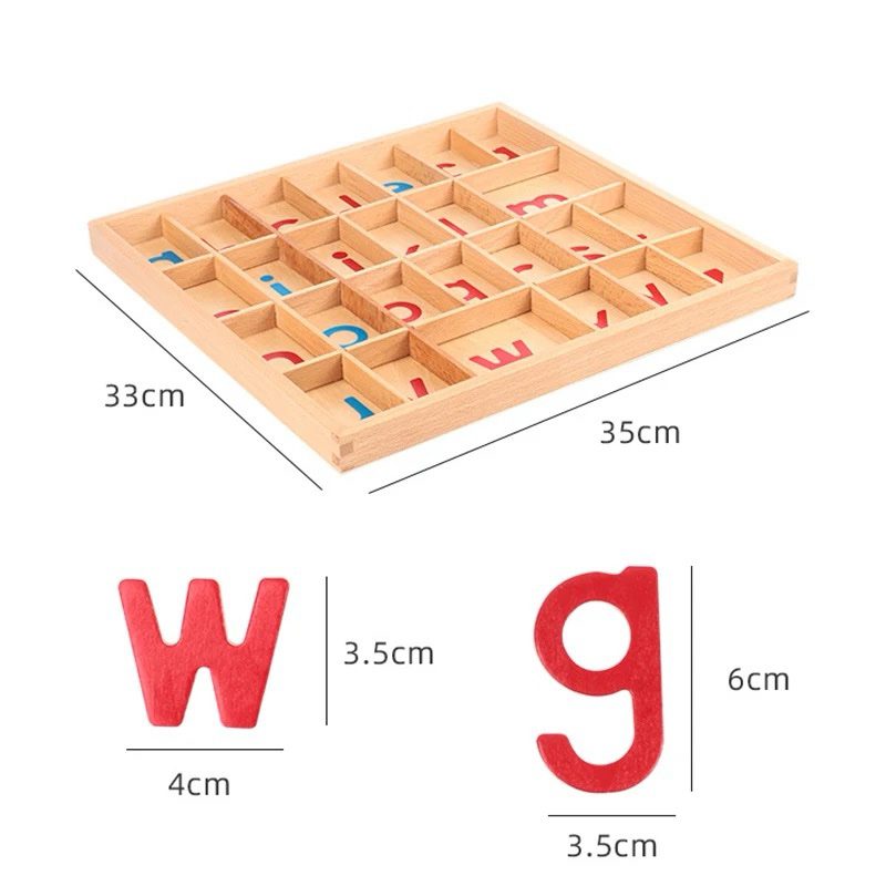 Close-up size comparison of Montessori movable alphabet letters showing the height and width of letters W and G.