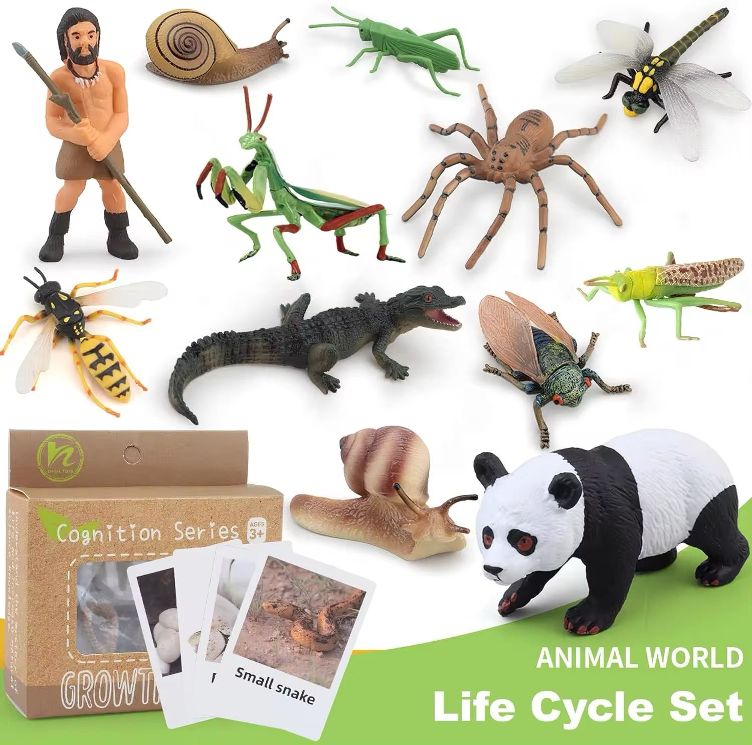 Montessori life cycle bundle showing multiple animal growth stages with figurines and matching cards